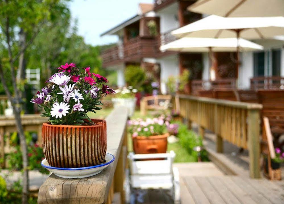 Spa Pension Basso ثوتْسو المظهر الخارجي الصورة